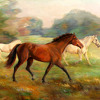 Appletrot