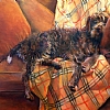 Barkalounger - Oil, 16x20, SOLD