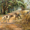 German Shorthair Pointers on Quail