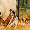 Mug Shots - Oil on canvas, SOLD