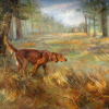 Red Setter on Point