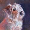 Riley - Oil, 6x6, SOLD